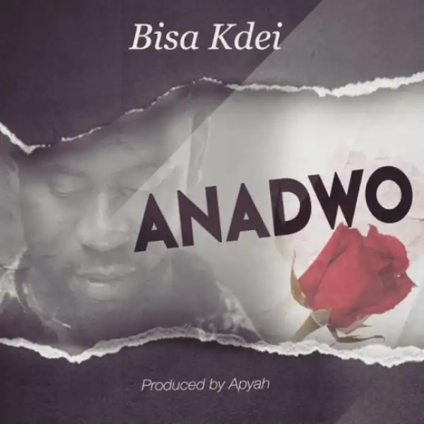 Bisa Kdei - Anadwo